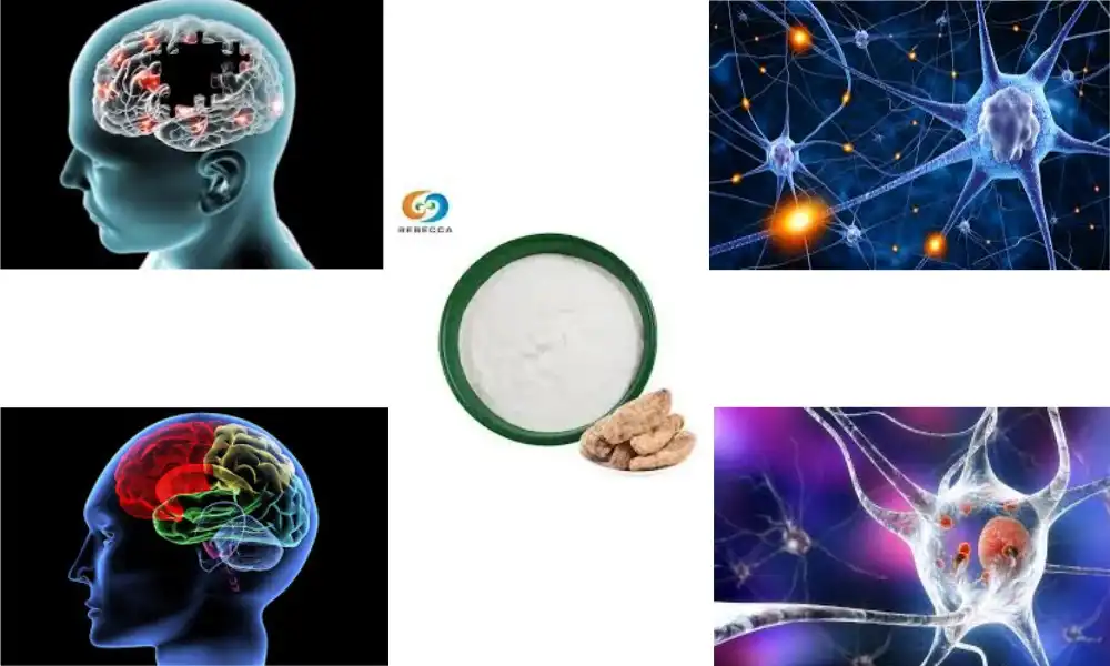 Gastrodin Powder: A Natural Solution for Stress Relief
